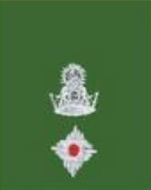 Ldf Colonel Lesotho Defence Force